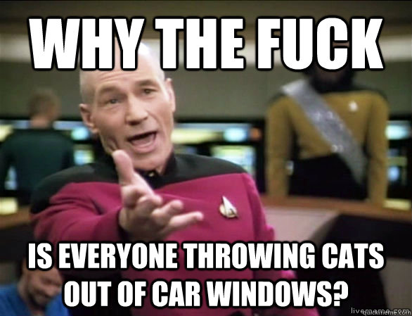 why the fuck IS EVERYONE THROWING CATS OUT OF CAR WINDOWS?  Annoyed Picard HD