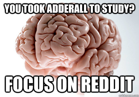 You took Adderall to study? Focus on Reddit  Scumbag Brain