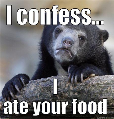 I CONFESS... I ATE YOUR FOOD Confession Bear