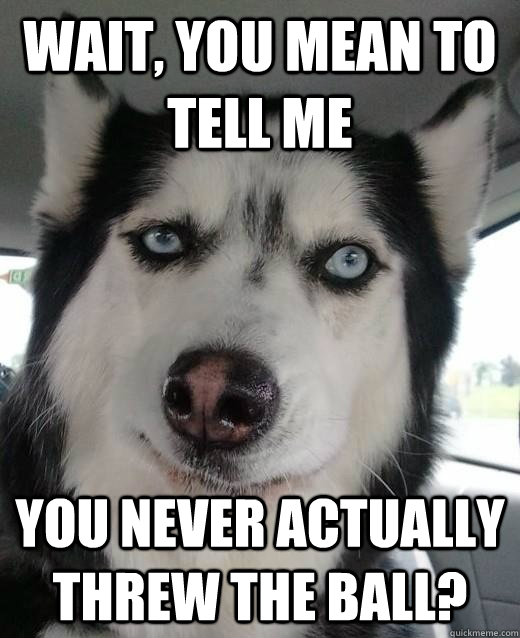 Wait, you mean to tell me you never actually threw the ball? - Wait, you mean to tell me you never actually threw the ball?  Misc