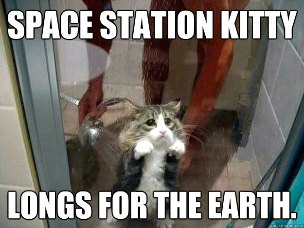 Space Station Kitty Longs For The Earth.  Shower kitty