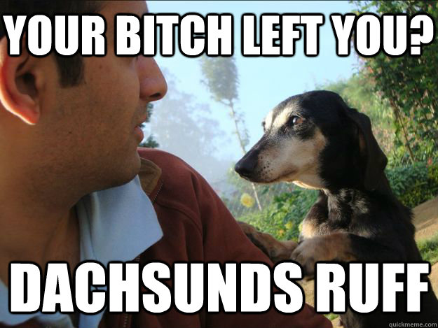 Your bitch left you? Dachsunds ruff  