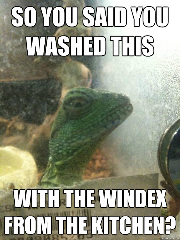 So you said you washed this with the windex from the kitchen? - So you said you washed this with the windex from the kitchen?  Leery Lizard