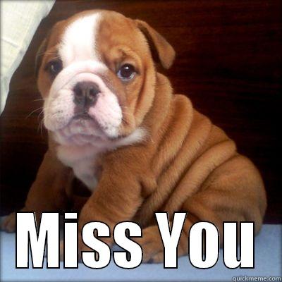 You Bulldog man  -           MISS YOU Misc