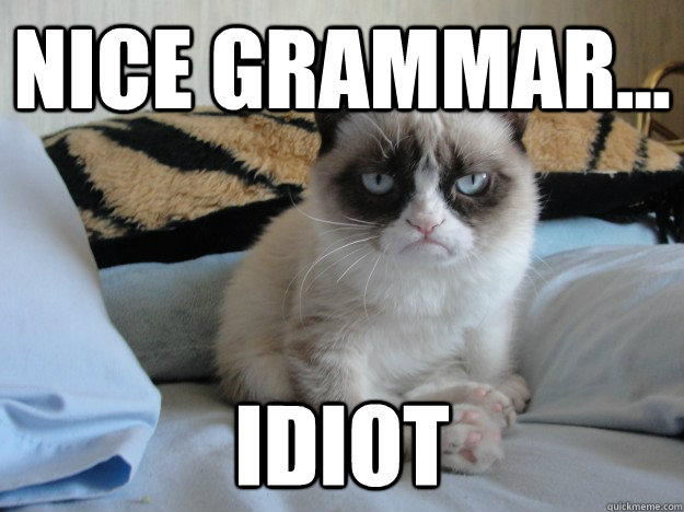 nice grammar... idiot - nice grammar... idiot  Grumpy Cat II