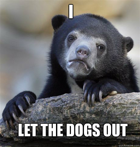 I  LET THE DOGS OUT  Confession Bear
