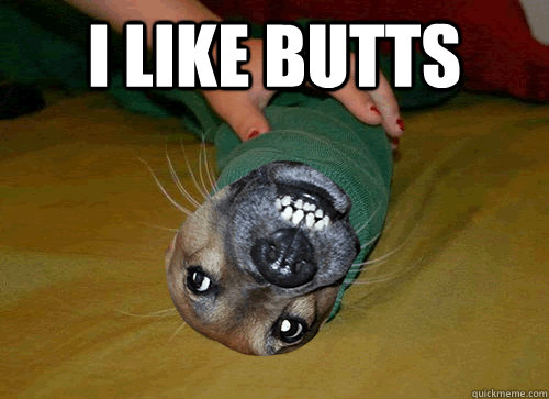 i like butts  - i like butts   Retarded Dog Burrito
