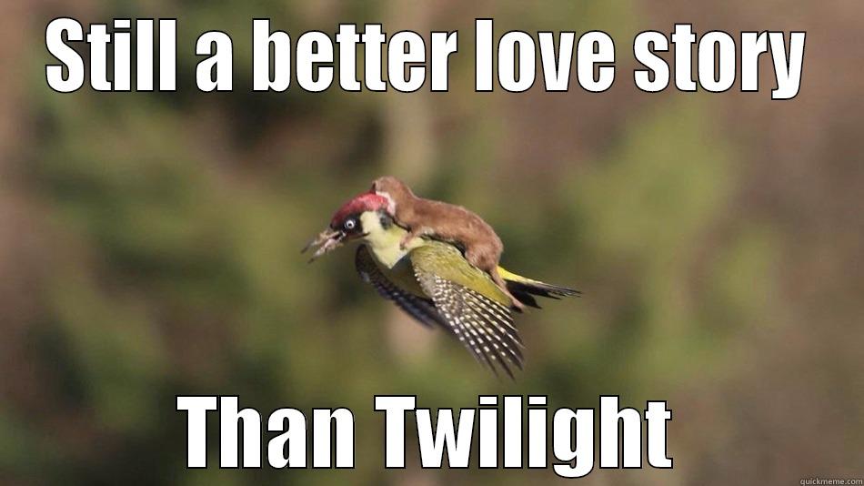 STILL A BETTER LOVE STORY THAN TWILIGHT Misc