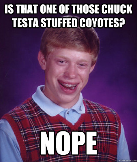 Is that one of those Chuck testa stuffed coyotes? NOPE  Bad Luck Brian