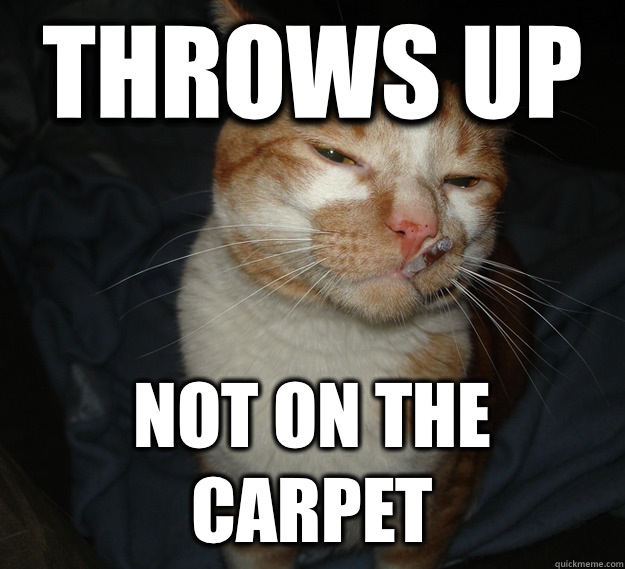 Throws up Not on the carpet  Cool Cat Craig