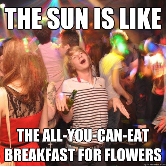 The sun is like the all-you-can-eat breakfast for flowers  Happy Realization Guy