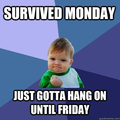 survived monday just gotta hang on until friday  Success Kid
