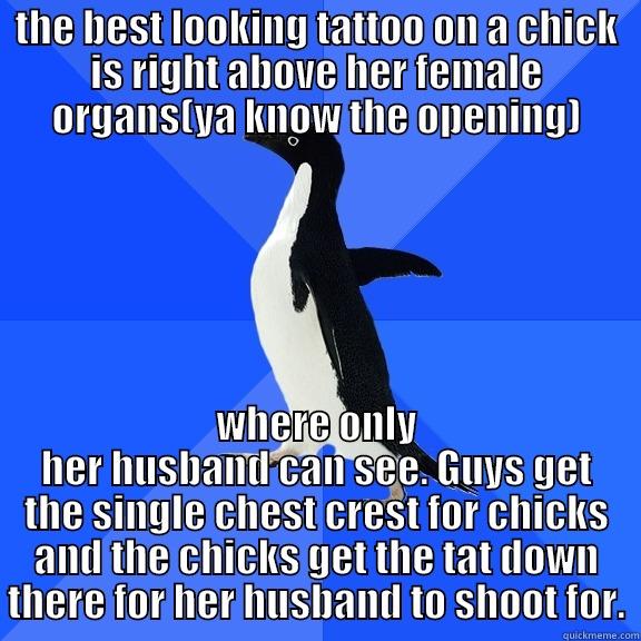 THE BEST LOOKING TATTOO ON A CHICK IS RIGHT ABOVE HER FEMALE ORGANS(YA KNOW THE OPENING) WHERE ONLY HER HUSBAND CAN SEE. GUYS GET THE SINGLE CHEST CREST FOR CHICKS AND THE CHICKS GET THE TAT DOWN THERE FOR HER HUSBAND TO SHOOT FOR. Socially Awkward Penguin