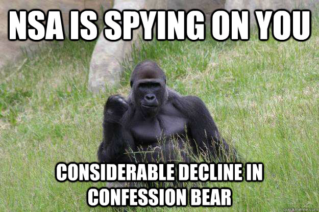 NSA is spying on you Considerable decline in confession bear  Success Gorilla