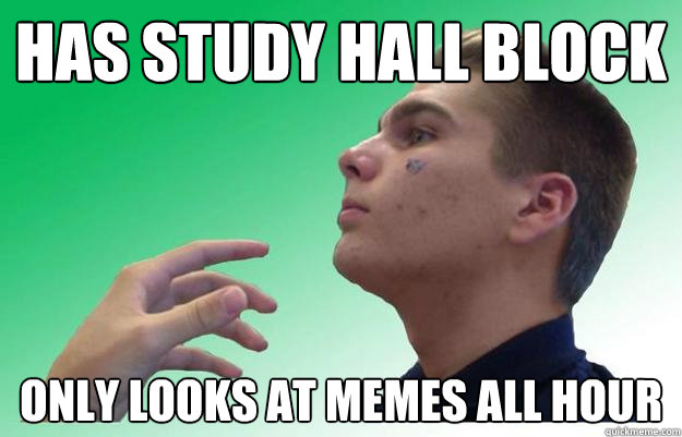 Has study hall block Only looks at memes all hour  Idiot Meme Obsessed Kid