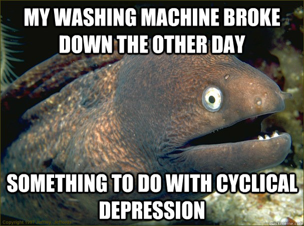 my washing machine broke down the other day something to do with cyclical depression  Bad Joke Eel
