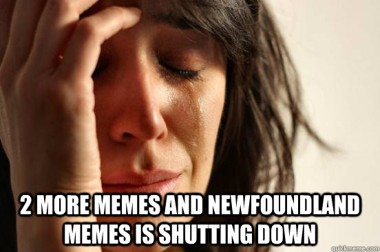  2 More memes and Newfoundland Memes is shutting down  First World Problems