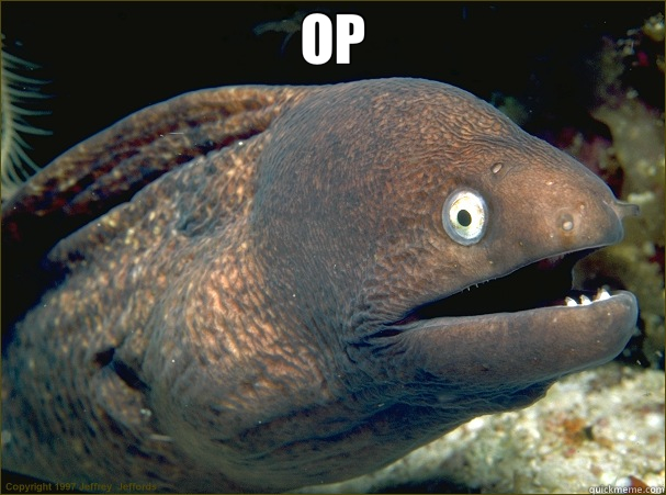 OP   Bad Joke Eel