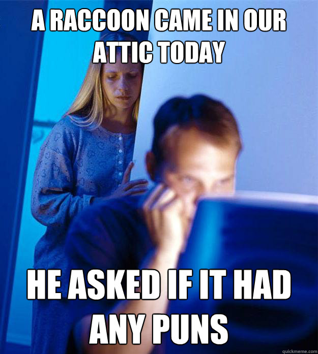 a raccoon came in our attic today he asked if it had any puns  Redditors Wife