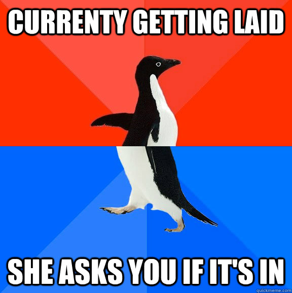 Currenty getting laid She asks you if it's in - Currenty getting laid She asks you if it's in  Socially Awesome Awkward Penguin