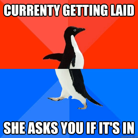 Currenty getting laid She asks you if it's in  Socially Awesome Awkward Penguin