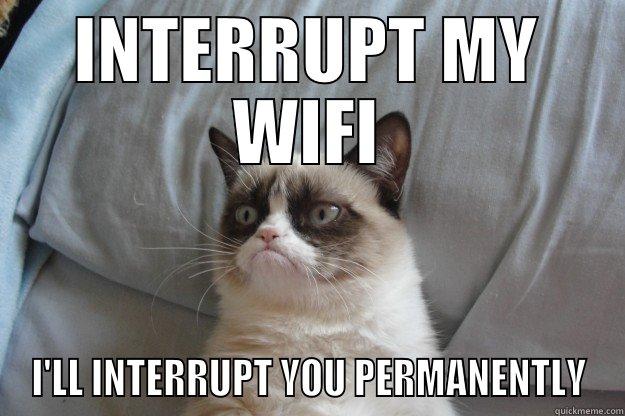 INTERRUPT MY WIFI - INTERRUPT MY WIFI I'LL INTERRUPT YOU PERMANENTLY Grumpy Cat