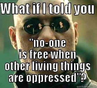 WHAT IF I TOLD YOU  “NO-ONE IS FREE WHEN OTHER LIVING THINGS ARE OPPRESSED”? Matrix Morpheus