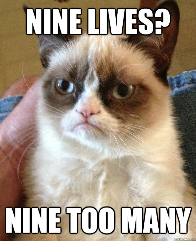 Nine lives? nine too many  Grumpy Cat