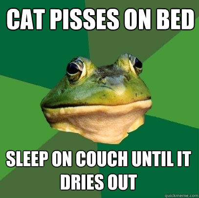 CAT PISSES ON BED SLEEP ON COUCH UNTIL IT DRIES OUT  Foul Bachelor Frog