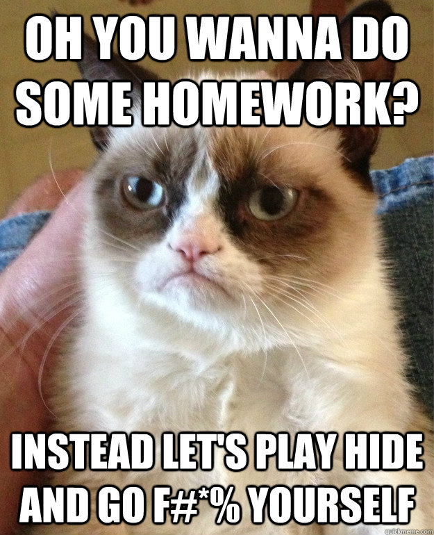 Oh you wanna do some homework? Instead let's play Hide and go F#*% yourself  Grumpy Cat