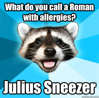 What do you call a Roman with allergies? Julius Sneezer   Lame Pun Coon