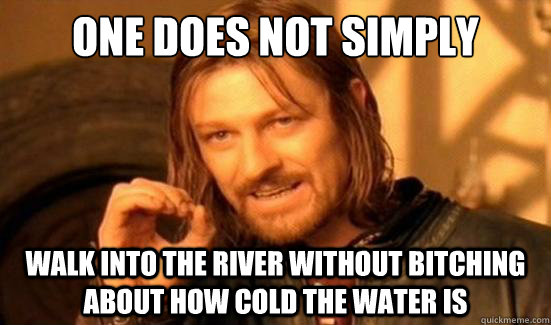 One Does Not Simply Walk into the river without bitching about how cold the water is   Boromir