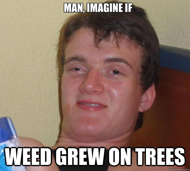 Man, Imagine if Weed grew on trees  10 Guy