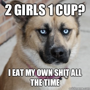 2 girls 1 cup? I eat my own shit all the time - 2 girls 1 cup? I eat my own shit all the time  Apathy Dog