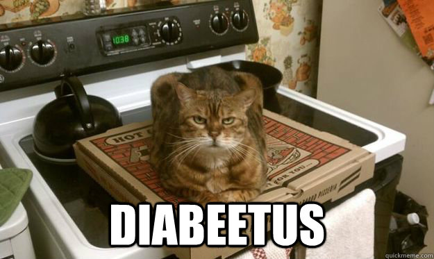  DIABEETUS -  DIABEETUS  sittin cat
