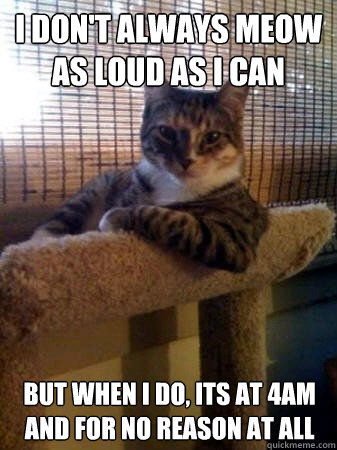 i don't always meow as loud as i can but when I do, its at 4am and for no reason at all  The Most Interesting Cat in the World