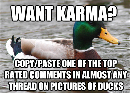 Want Karma? Copy/paste one of the top rated comments in almost any thread on pictures of ducks  Actual Advice Mallard
