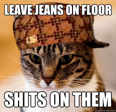 Leave jeans on floor shits on them  Scumbag Cat