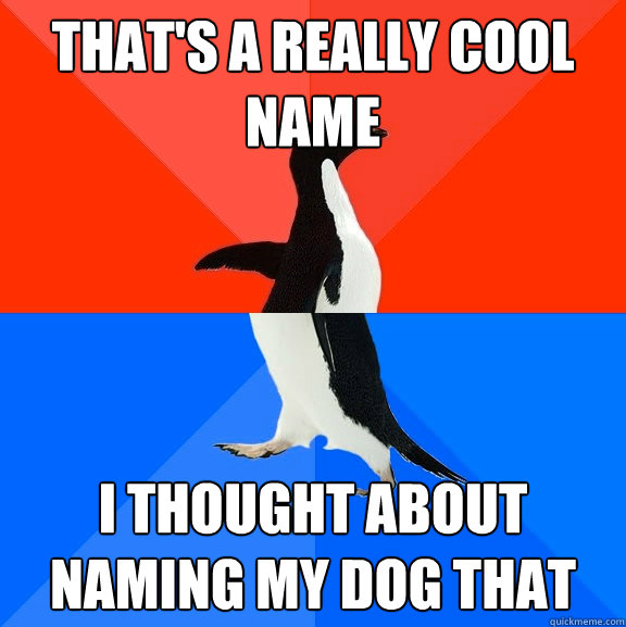 That's a really cool name I thought about naming my dog that  Socially Awesome Awkward Penguin