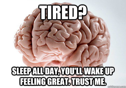 Tired? Sleep all day, you'll wake up feeling great. Trust me.  Scumbag Brain