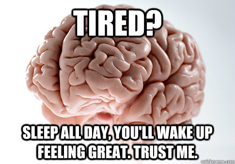 Tired? Sleep all day, you'll wake up feeling great. Trust me. - Tired? Sleep all day, you'll wake up feeling great. Trust me.  Scumbag Brain