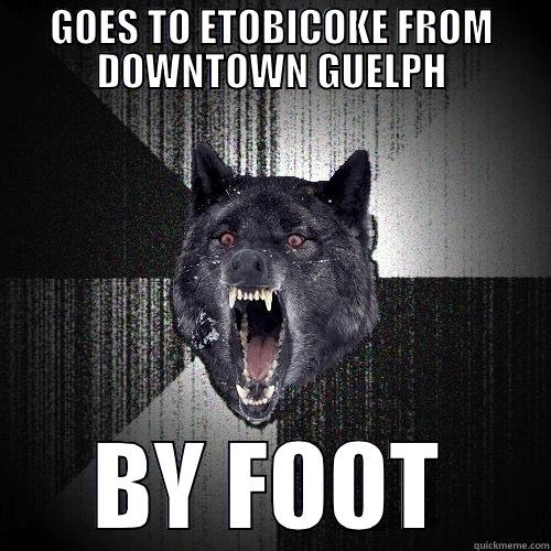 GOES TO ETOBICOKE FROM DOWNTOWN GUELPH BY FOOT Insanity Wolf