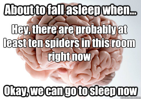 About to fall asleep when... Okay, we can go to sleep now Hey, there are probably at least ten spiders in this room right now  Scumbag Brain