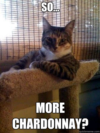 so... more Chardonnay?  The Most Interesting Cat in the World