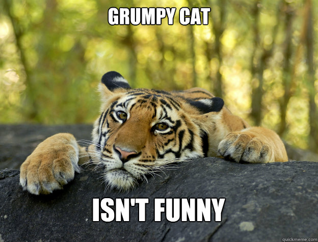 Grumpy cat Isn't funny   Confession Tiger