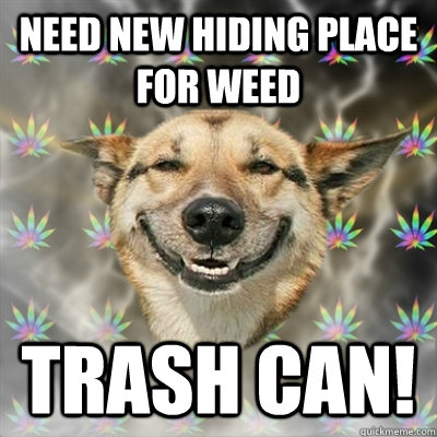 Need new hiding place for weed trash can!  Stoner Dog