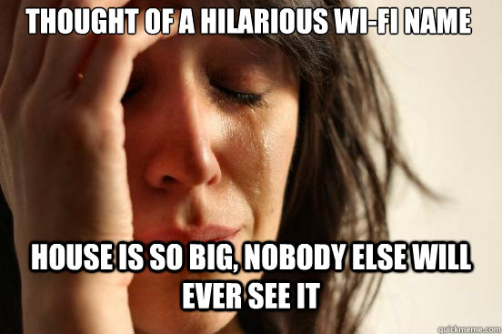 THOUGHT OF A HILARIOUS WI-FI NAME HOUSE IS SO BIG, NOBODY ELSE WILL EVER SEE IT Caption 3 goes here Caption 4 goes here  First World Problems