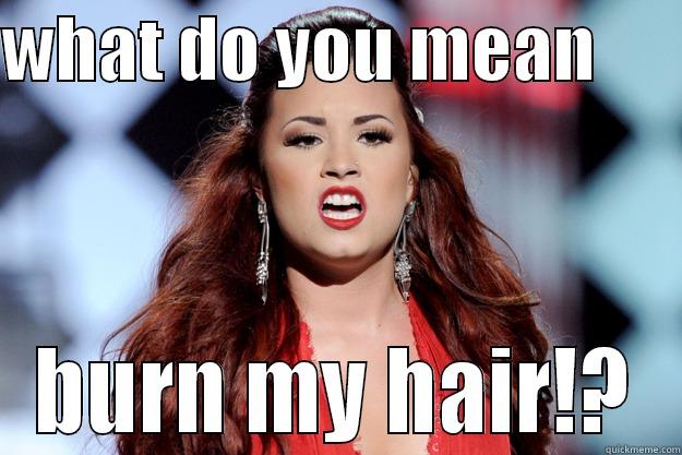 WHAT DO YOU MEAN       BURN MY HAIR!? Misc