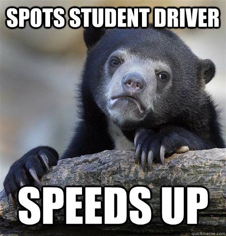 Spots Student Driver Speeds Up  Confession Bear