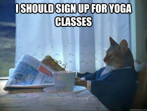 I should sign up for yoga classes   morning realization newspaper cat meme